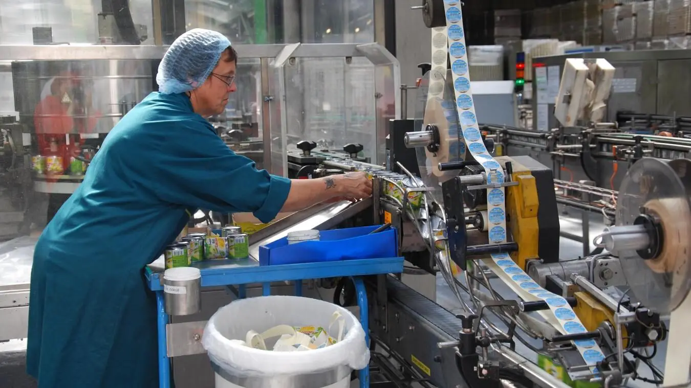 Projet d'optimisation hydrique - Usine