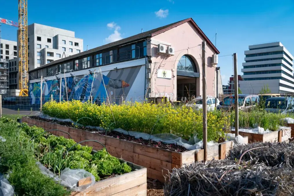 Projet d'optimisation hydrique - Bâtiment